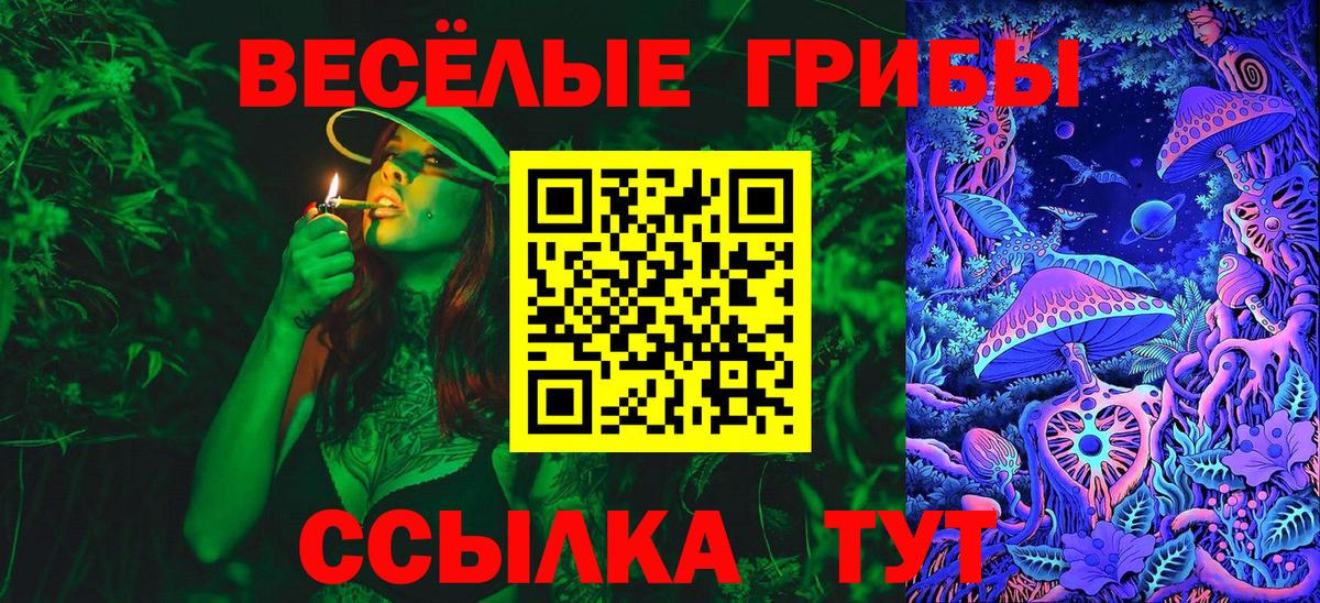 Галлюциногенные грибы Magic Shrooms Советск